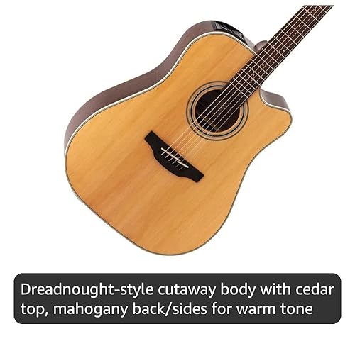 Amazon.com: Takamine GD20CE-NS Dreadnought Cutaway Acoustic